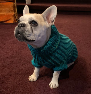 Multi Colored Knitted Dog Sweater (Medium)