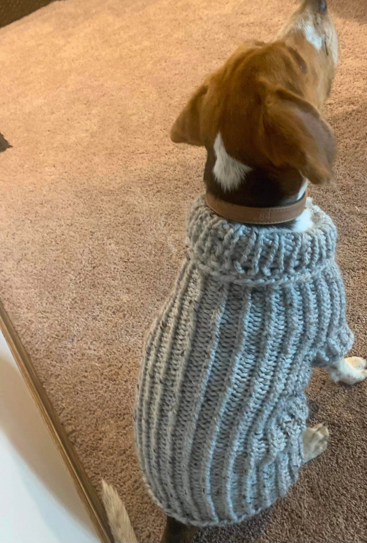 Grey Knitted Dog Sweater (Medium)
